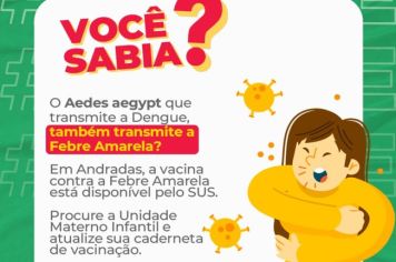 SECRETARIA DE SAÚDE REFORÇA O ALERTA PARA A IMPORTÂNCIA DA VACINA CONTRA A FEBRE AMARELA