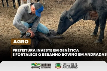 Prefeitura de Andradas fortalece o campo com programa de melhoramento genético