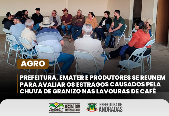 Chuva de granizo causa estragos nas lavouras de café