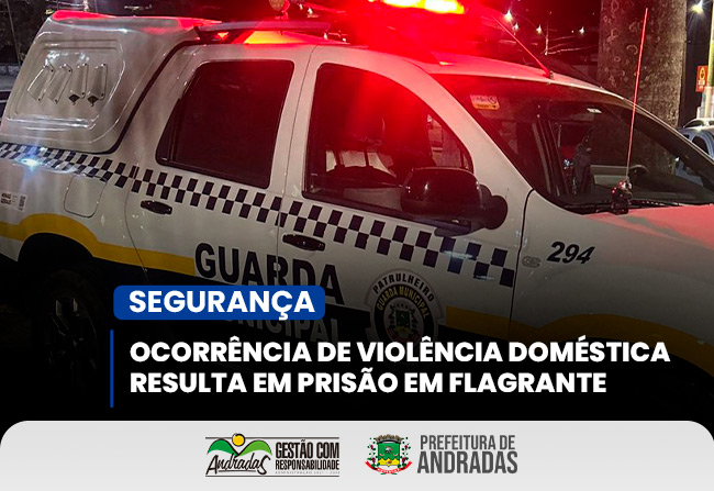 Ocorrência de violência doméstica resulta em prisão em flagrante