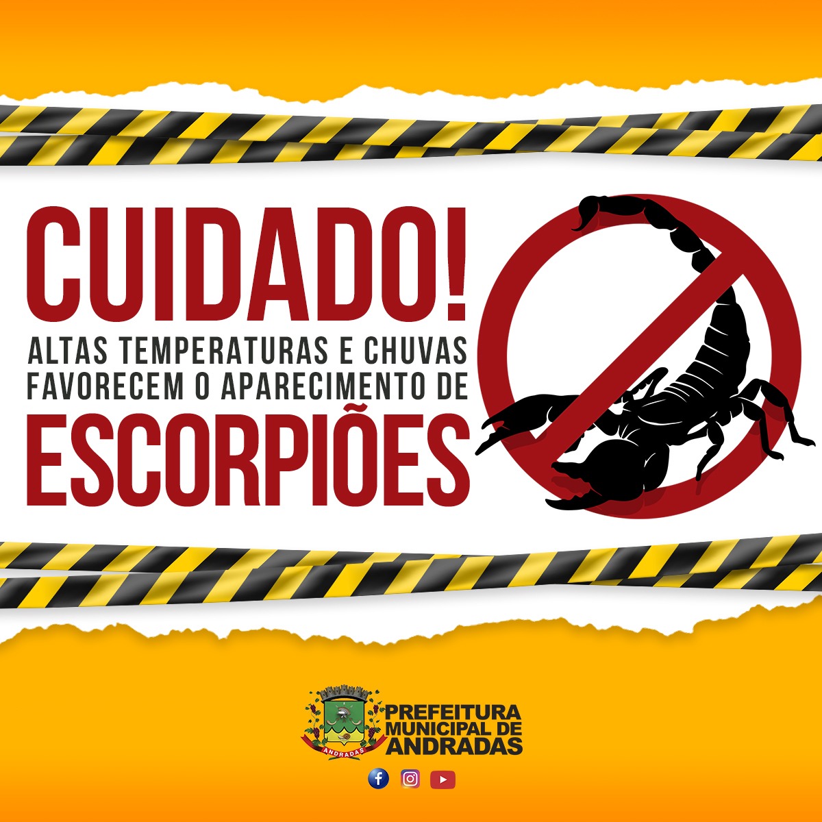 ESCORPIÃO: 15 PESSOAS JÁ FORAM PICADAS ESSE ANO EM ANDRADAS