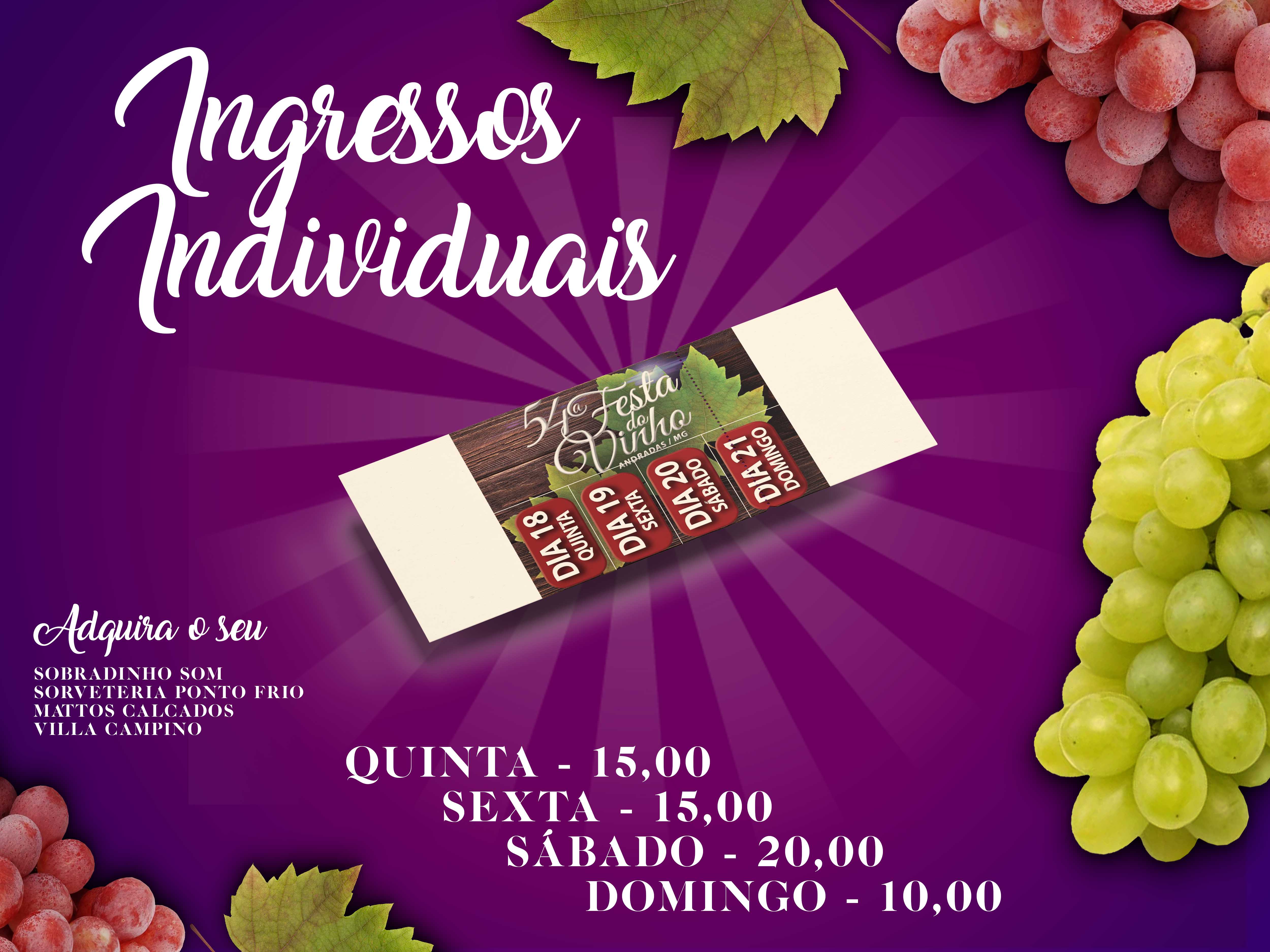 FESTA DO VINHO - INGRESSOS INDIVIDUAIS