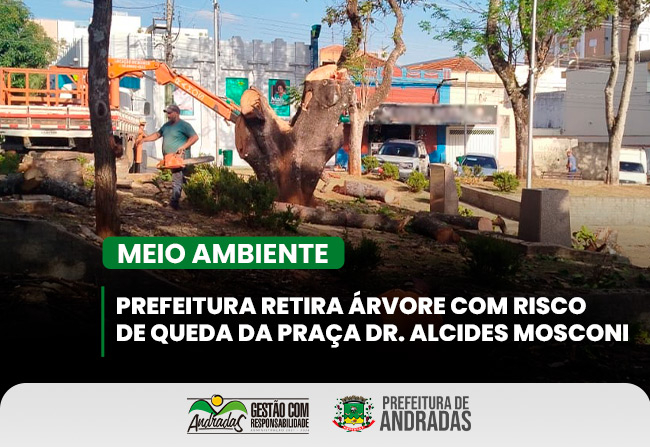 Árvore com risco de queda é retirada da Praça Dr. Alcides Mosconi