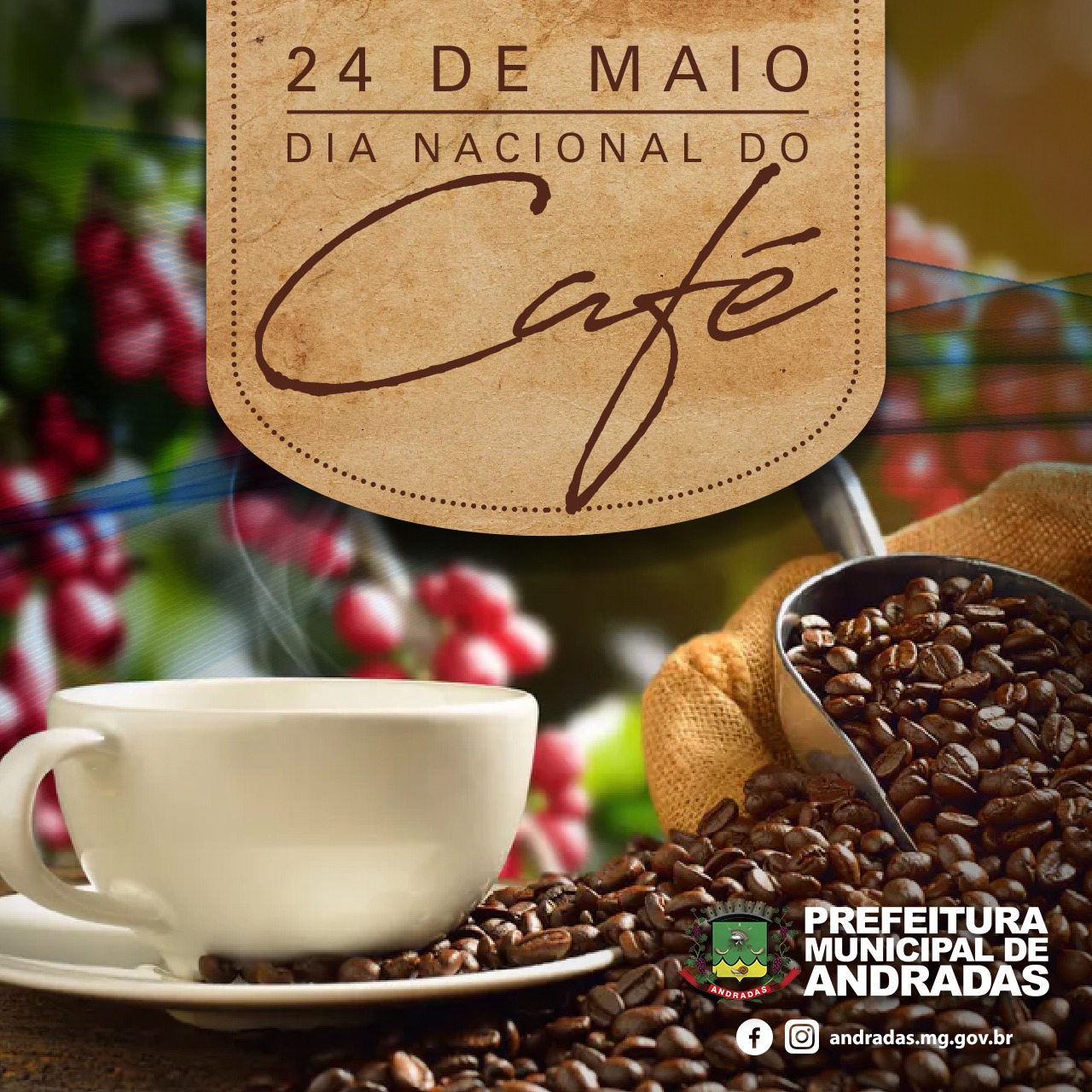 DIA NACIONAL DO CAFÉ